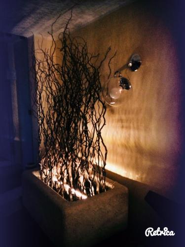 a plant in a pot next to a light at Il Peschio in Pescocostanzo