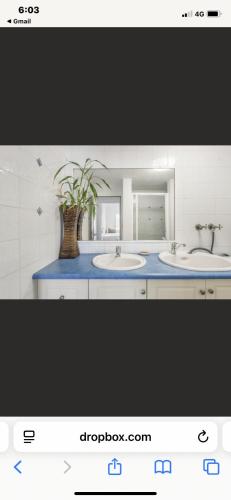 a bathroom with two sinks and a vase with a plant at 3 Mile in Lennox Head