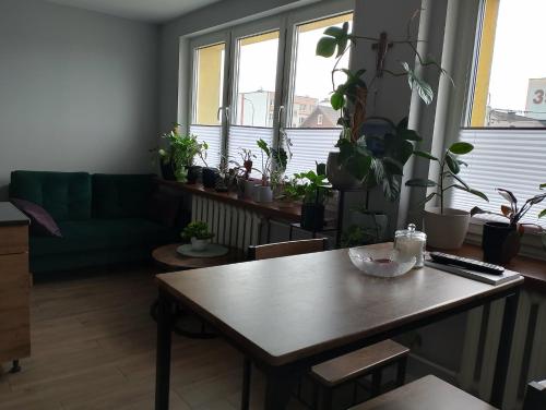 a living room with a table and lots of potted plants at Jolanta's apartment in Hajnówka