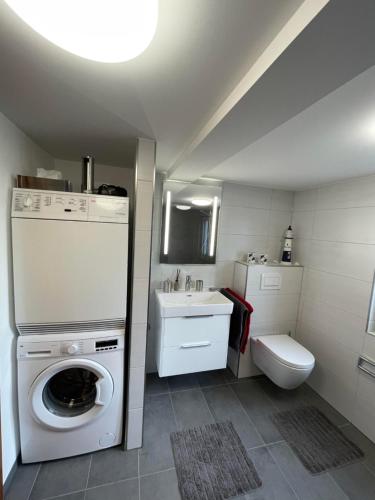 a small bathroom with a washing machine and a sink at Ferienhaus FachWerk in Holler