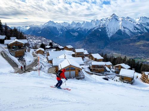 Sunny chalet in Veysonnaz for 10 guests