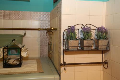 ローマにあるIl Grottinoの鉢植えの鉢植えの棚付きバスルーム