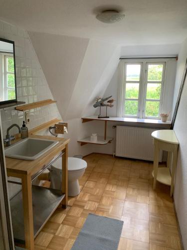 a bathroom with a sink and a toilet at Haus Siebenstein Living for a good cause in Drochtersen