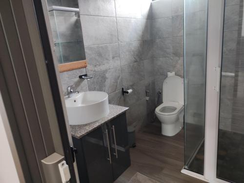 a bathroom with a sink and a toilet at mahogany villa in Grand-Baie