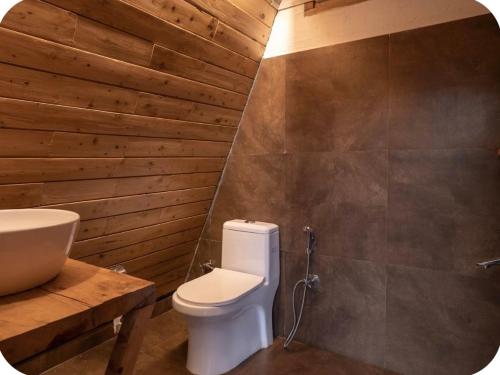 a bathroom with a toilet and a sink at Tri peak Cottage in Jibhi