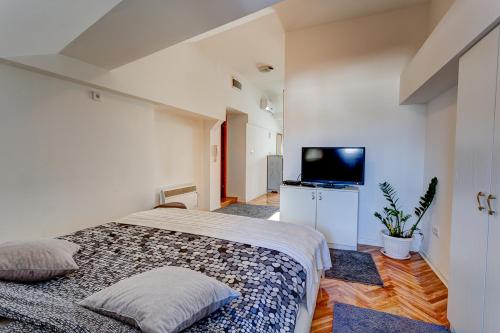 1 dormitorio con 1 cama grande y TV de pantalla plana en Apartments Selfie Belgrade Central, en Belgrado