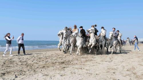 Nid camarguais les pieds dans l eau