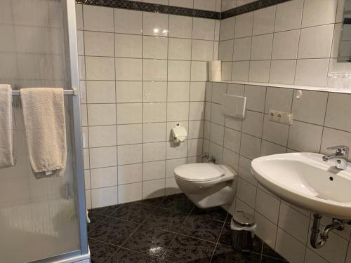 a bathroom with a toilet and a sink at Ferienwohnung Wehner in Seiferts