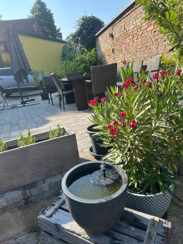 Auszeit in Engelmannsbrunn
