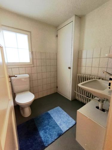 a bathroom with a toilet and a sink at Apartment on 2 floors in Stäfa