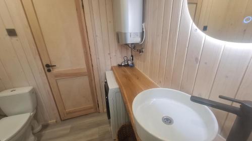a bathroom with a sink and a toilet and a mirror at Jomas & Baltic beach in Jūrmala