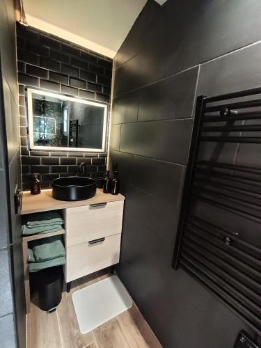 a bathroom with a sink and a mirror at La cabane au bout du Thérain in Herchies