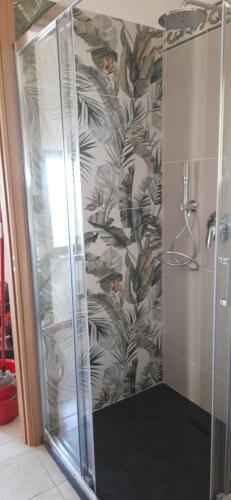 a shower with a glass door in a bathroom at Cottage Casa Gina - Goelba in Capoliveri