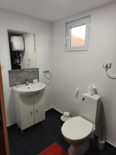 a bathroom with a white toilet and a sink at "La Aurel" Mahmudia in Mahmudia