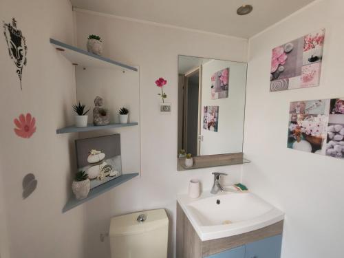 a bathroom with a sink and a toilet and a mirror at Mobil home - 8 couchages avec lit bébé - ECRIN DE SÉRÉNITÉ - Camping TIKAYAN 5 étoiles - Le Muy in Le Muy