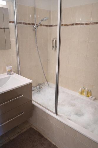 a bathroom with a shower and a sink at Haut Doubs Belvédère in Les Hôpitaux-Neufs
