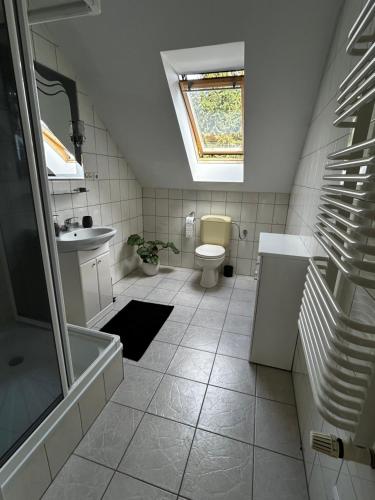 a bathroom with a toilet and a sink and a skylight at Villa van Dam in Miłków