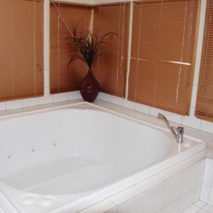 a vase with a plant sitting on a bath tub at Square Bear in Dinner Plain