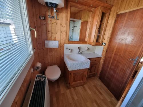 a small bathroom with a sink and a toilet at Bungalow Tirolese in Molina di Ledro