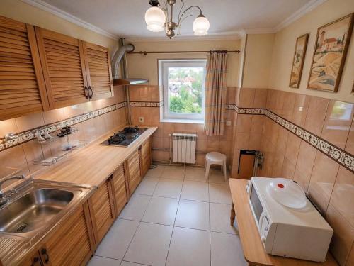 a small kitchen with a sink and a window at SPA Villa Jasmin in Truskavets