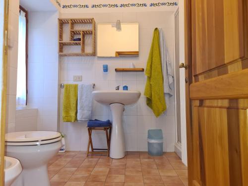a bathroom with a sink and a toilet at Agriturismo PEDROSOLA in Brisighella