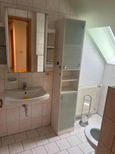 a bathroom with a sink and a mirror at FeWo im Forsthaus in Marktredwitz