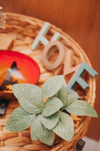 S-Studio, Your Cozy Spot in Thessaloniki Center