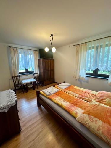 a bedroom with a large bed in a room with windows at Dolina Obiecana in Kalnica