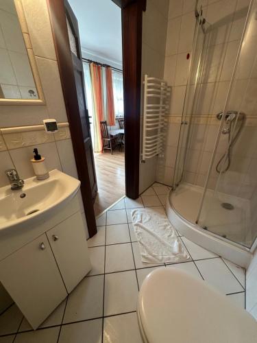 a bathroom with a shower and a toilet and a sink at Dolina Obiecana in Kalnica