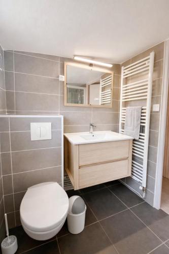 a bathroom with a toilet and a sink at Le Refuge du Mans in Le Mans