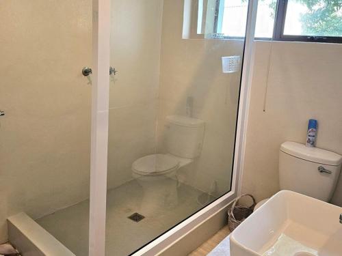 a bathroom with a shower with a toilet and a sink at Ocean View Drive 150 in Struisbaai