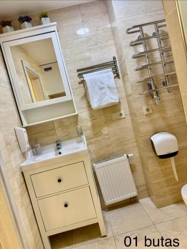 a bathroom with a sink and a mirror at Six Apartment Simona in Vilnius