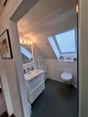 a bathroom with a sink and a toilet and a skylight at Ferienwohnung Jule in Grenzach-Wyhlen