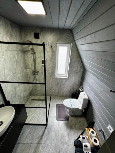 a bathroom with a shower and a toilet and a sink at Шале WeLKoMe in Verkhovyna