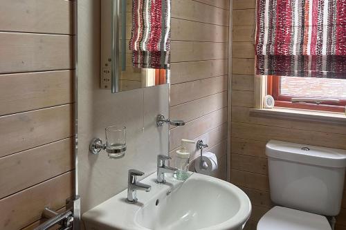 a bathroom with a sink and a toilet at Lomond Woods Holiday Park in Balloch