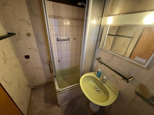 a bathroom with a sink and a shower at Ferienhaus Eichhörnchennest in Waldbrunn