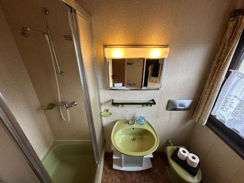 a small bathroom with a sink and a shower at Ferienhaus Morgentau in Waldbrunn