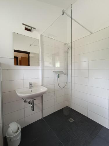 a bathroom with a sink and a glass shower at Ferienhaus Katzenbuckelblick in Waldbrunn