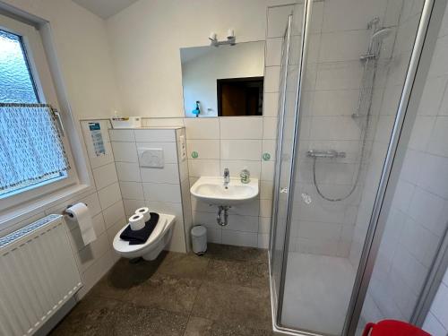 a bathroom with a shower and a sink and a toilet at Ferienhaus Mooswinkel in Waldbrunn