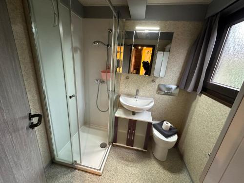 a bathroom with a shower and a sink and a toilet at Ferienhaus Schneekristall in Waldbrunn