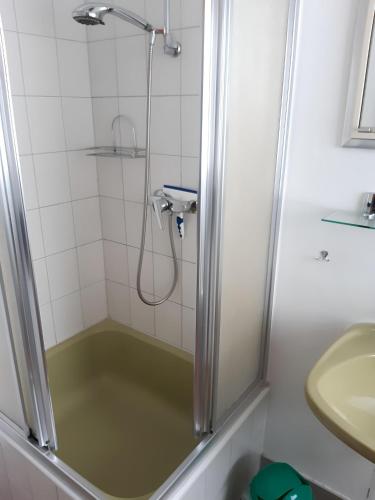 a bathroom with a shower and a sink at Ferienhaus Krappennest in Waldbrunn