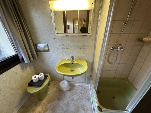 a bathroom with a sink and a shower at Ferienhaus Abendstille in Waldbrunn