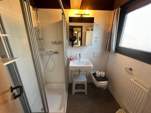 a bathroom with a shower and a sink and a toilet at Ferienhaus Winterruhe in Waldbrunn