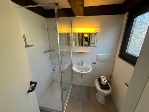 a bathroom with a shower and a sink and a toilet at Ferienhaus Abendzauber in Waldbrunn