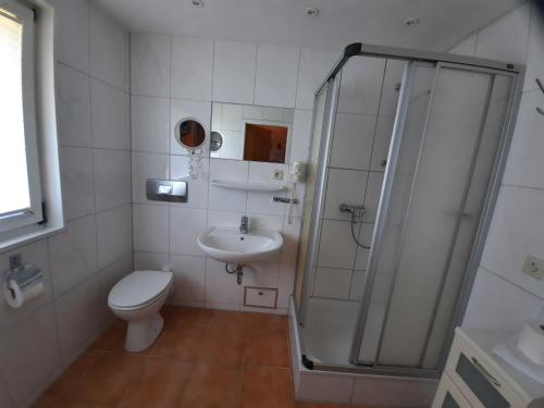 a bathroom with a shower and a toilet and a sink at Ferienhaus Romantiklicht in Waldbrunn