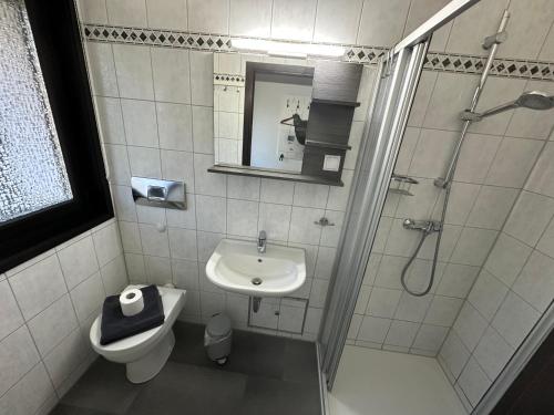 a bathroom with a shower and a toilet and a sink at Ferienhaus Gartenglück in Waldbrunn