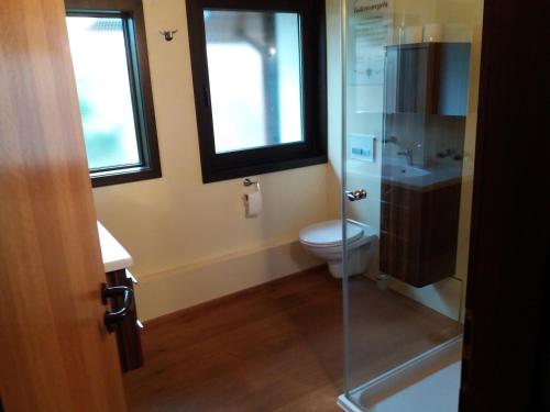 a bathroom with a toilet and a glass shower at Ferienhaus Romantikruhe in Waldbrunn