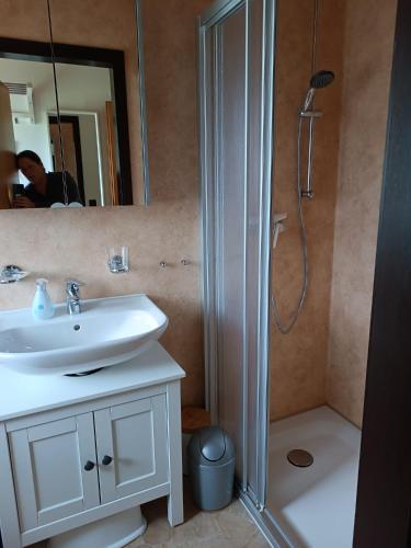 a bathroom with a white sink and a shower at Ferienhaus Morgenrot in Waldbrunn