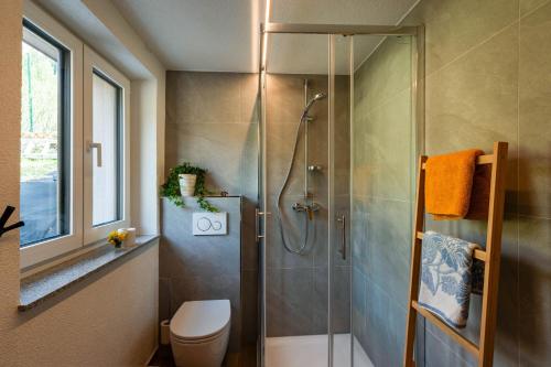 a bathroom with a shower stall and a toilet at Alpine Daffodil Retreat in Jesenice