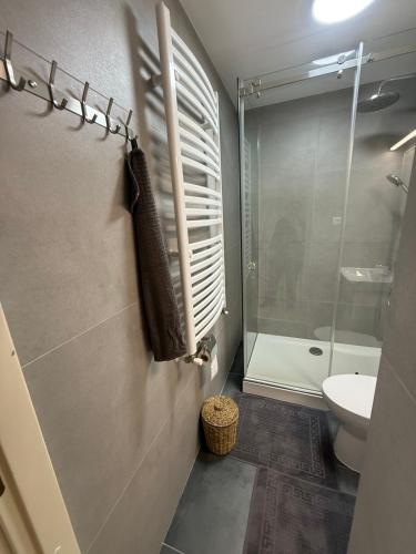 a bathroom with a shower and a toilet and a sink at Hostel Chisinau Centru in Chişinău